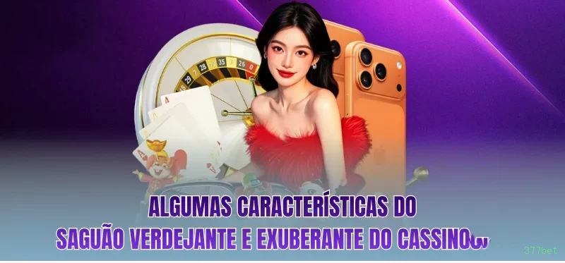 Recursos de Bônus 377bet